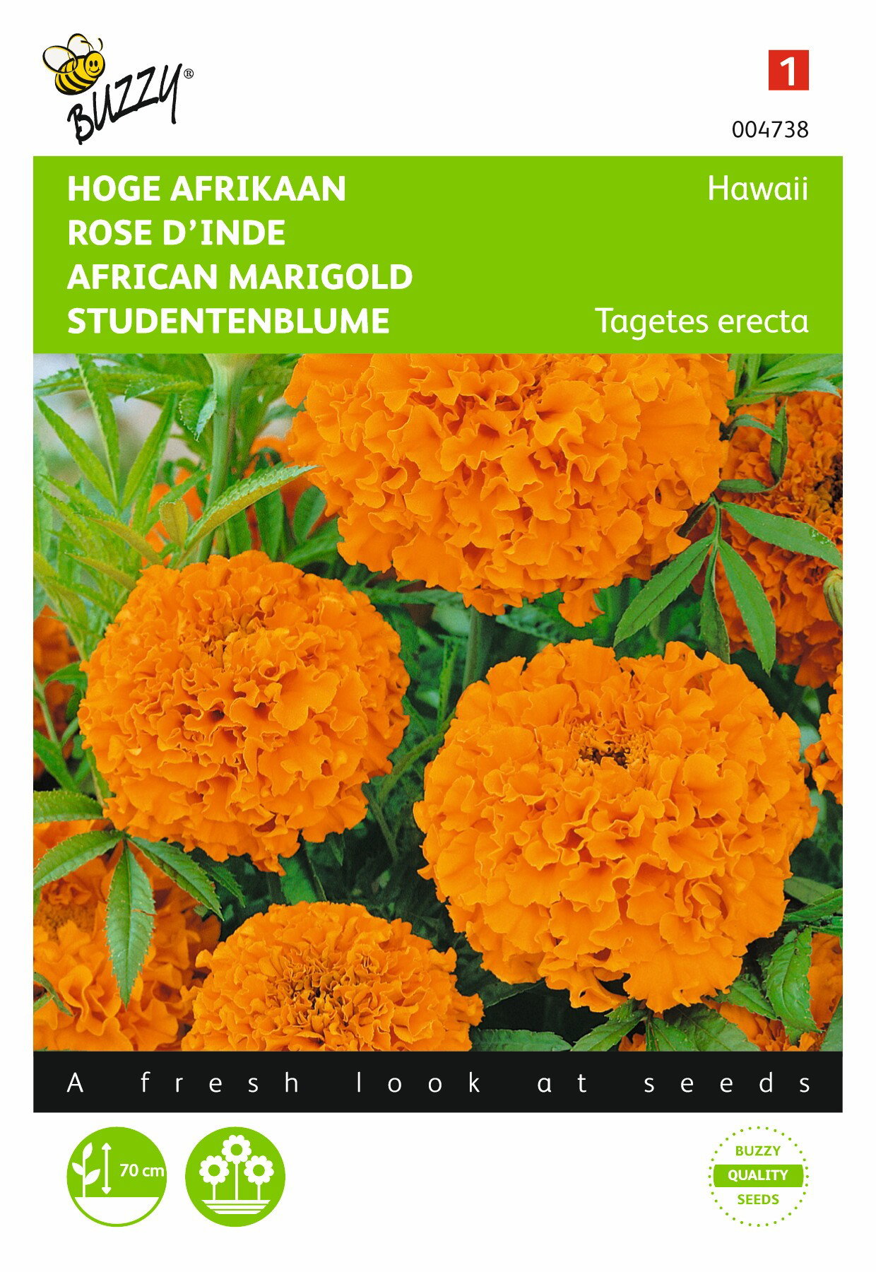 https://cdn.warentuin.nl/media/catalog/product/1/7/1778711117047384_buzzy_seeds_tuinzaden_buzzy_tagetes_hoge_afrikaan_hawaii_oranj_1373.jpeg