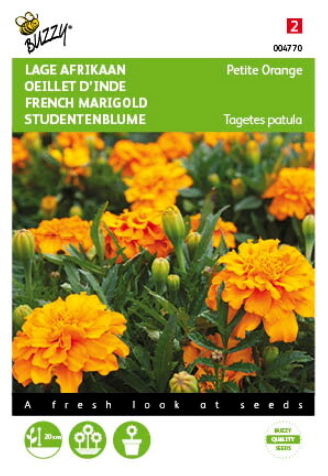 https://cdn.warentuin.nl/media/catalog/product/1/7/1778711117047704_buzzy_seeds_tuinzaden_buzzy_tagetes_lage_afrikaan_petite_orang_8f11.jpeg