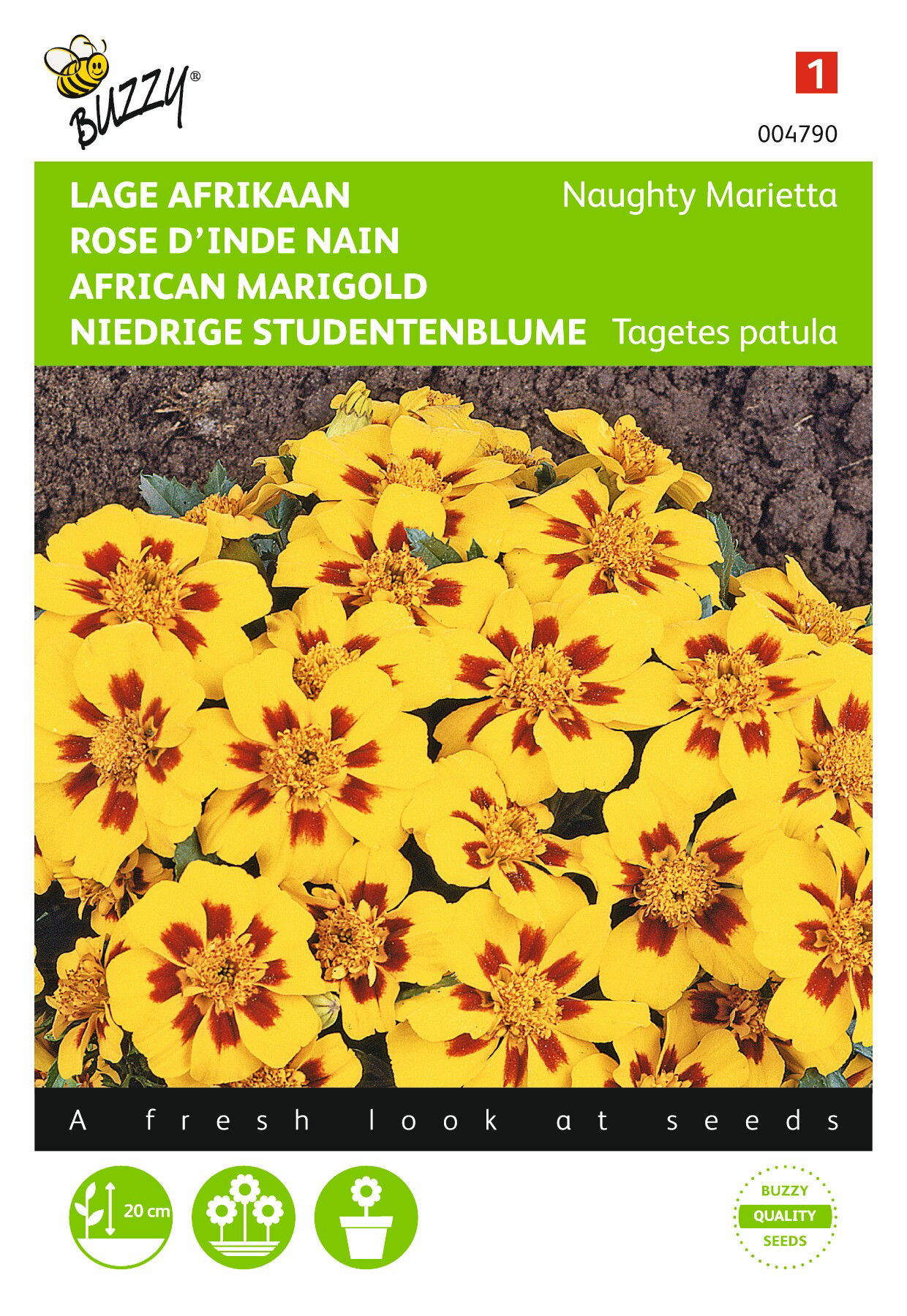 https://cdn.warentuin.nl/media/catalog/product/1/7/1778711117047902_buzzy_seeds_tuinzaden_buzzy_tagetes_lage_afrikaan_naughty_mari_0b65.jpeg