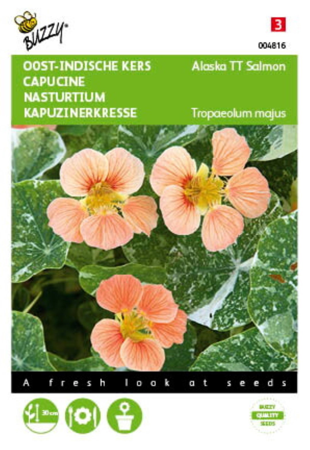 https://cdn.warentuin.nl/media/catalog/product/1/7/1778711117048169_buzzy_seeds_tuinzaden_buzzy_tropaeolum_oost_indische_kers_alas_10a4.jpeg