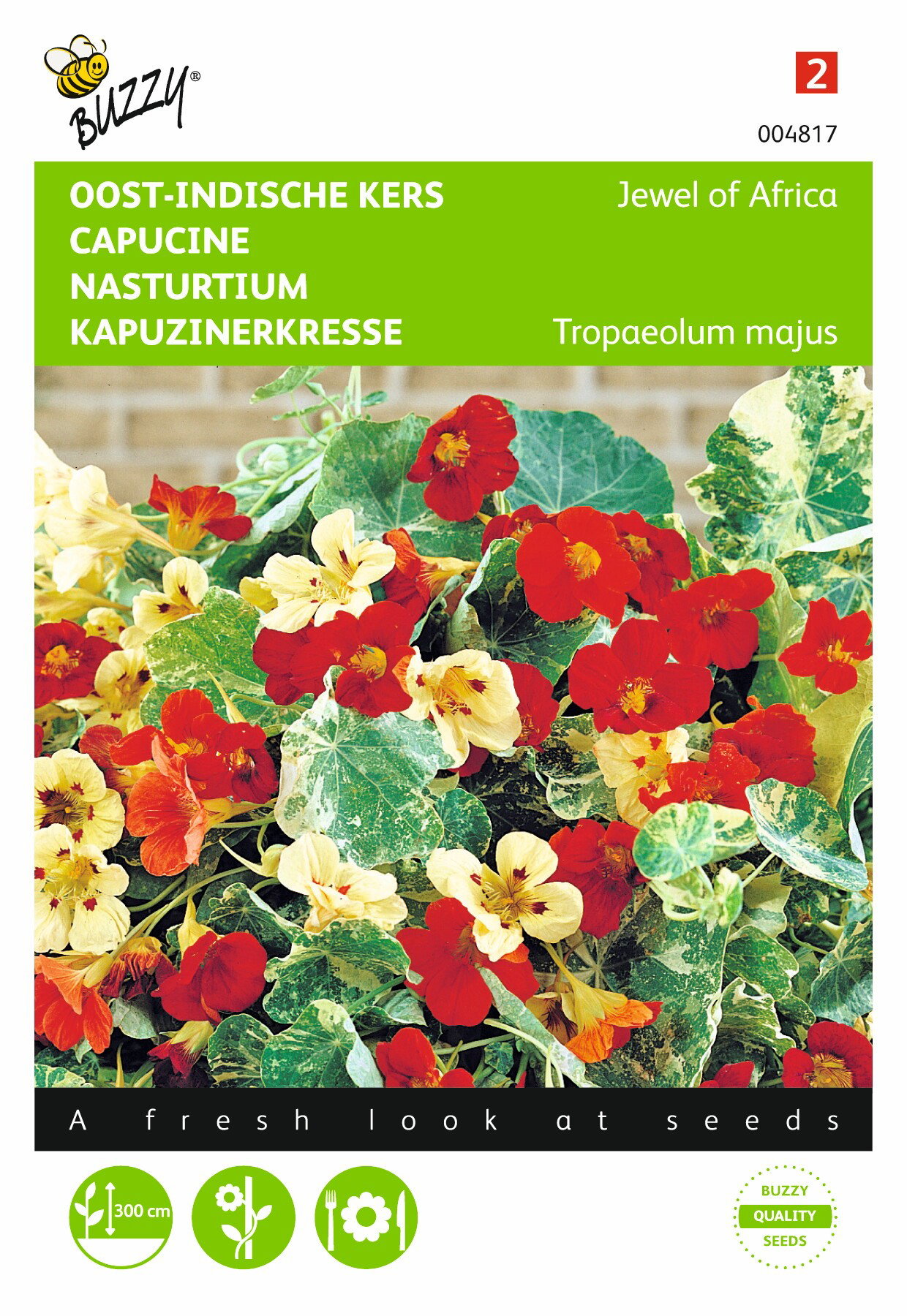 https://cdn.warentuin.nl/media/catalog/product/1/7/1778711117048176_buzzy_seeds_tuinzaden_buzzy_tropaeolum_oost_indische_kers_jewe_afab.jpeg