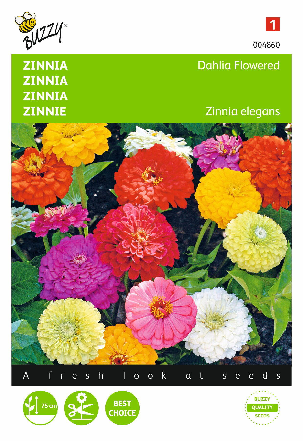 https://cdn.warentuin.nl/media/catalog/product/1/7/1778711117048602_buzzy_seeds_tuinzaden_buzzy_zinnia_dahliabloemig_gemengd_1_bf31.jpeg