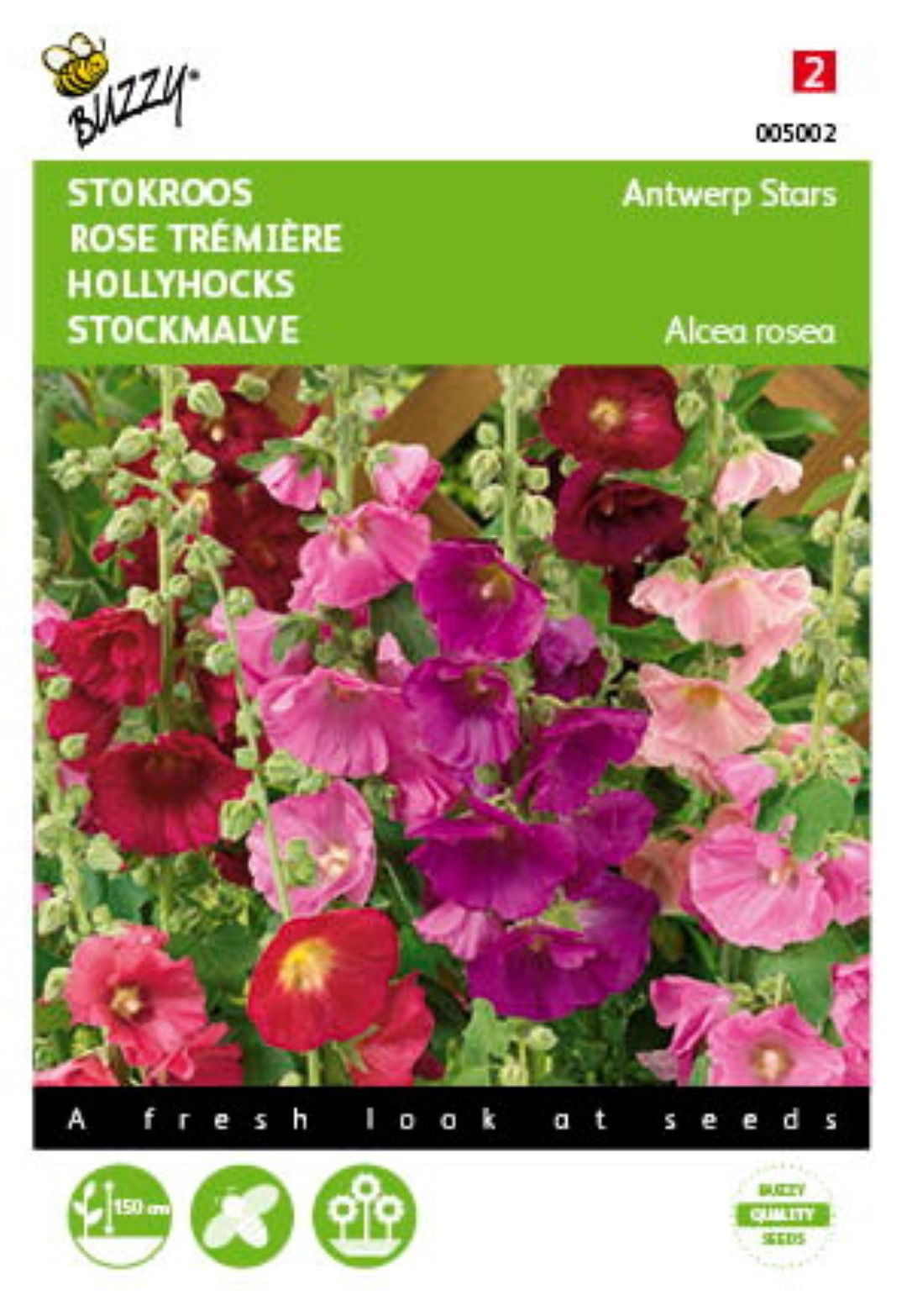 https://cdn.warentuin.nl/media/catalog/product/1/7/1778711117050025_buzzy_seeds_tuinzaden_buzzy_althaea_alcea_stokroos_antwerp_sta_9602.jpeg