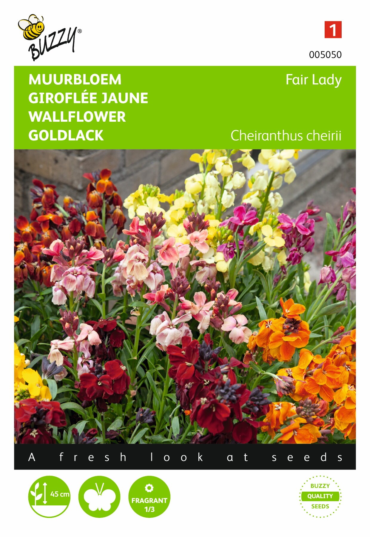 https://cdn.warentuin.nl/media/catalog/product/1/7/1778711117050506_buzzy_seeds_tuinzaden_buzzy_cheiranthus_muurbloem_fair_lady_ge_3777.jpeg