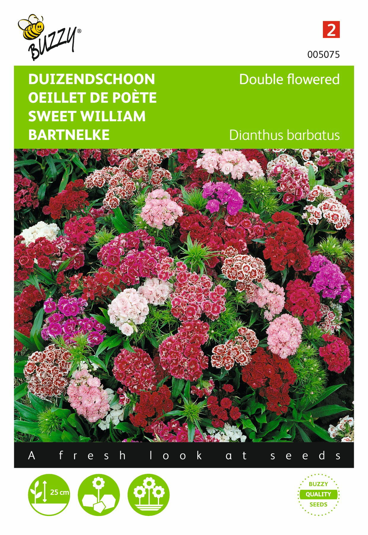 Zaden Dianthus Duizendschoon dubbelbloemig gemengd Buzzy - Buzzy