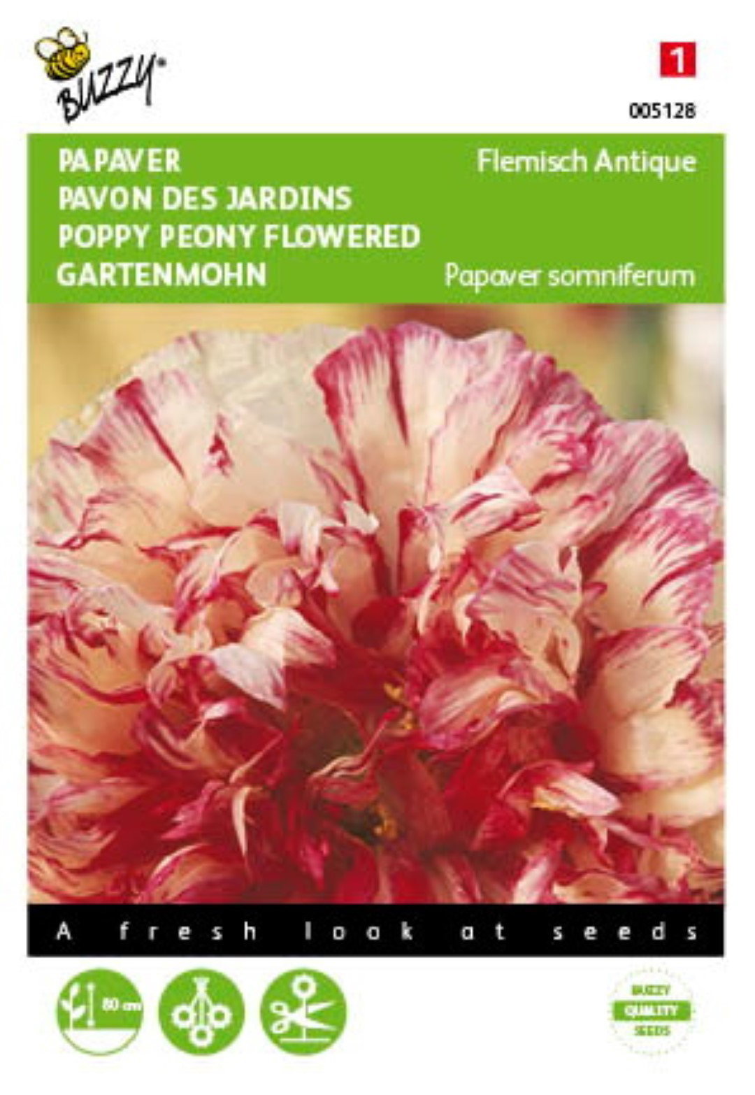 https://cdn.warentuin.nl/media/catalog/product/1/7/1778711117051282_buzzy_seeds_tuinzaden_buzzy_papaver_slaapbol_flemish_antique_1_3832.jpeg