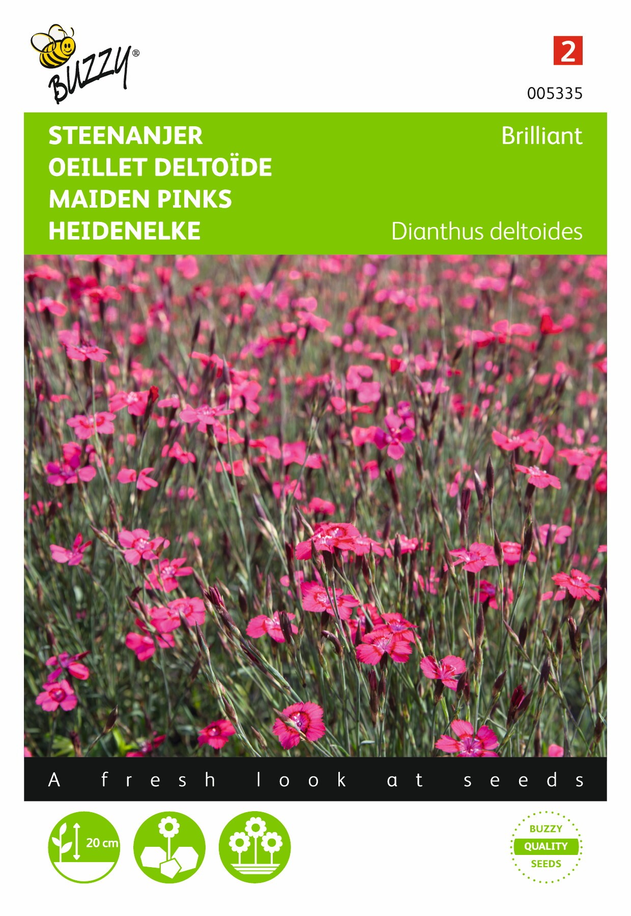 https://cdn.warentuin.nl/media/catalog/product/1/7/1778711117053354_buzzy_seeds_tuinzaden_buzzy_dianthus_steenanjer_brilliant_adf6.jpeg