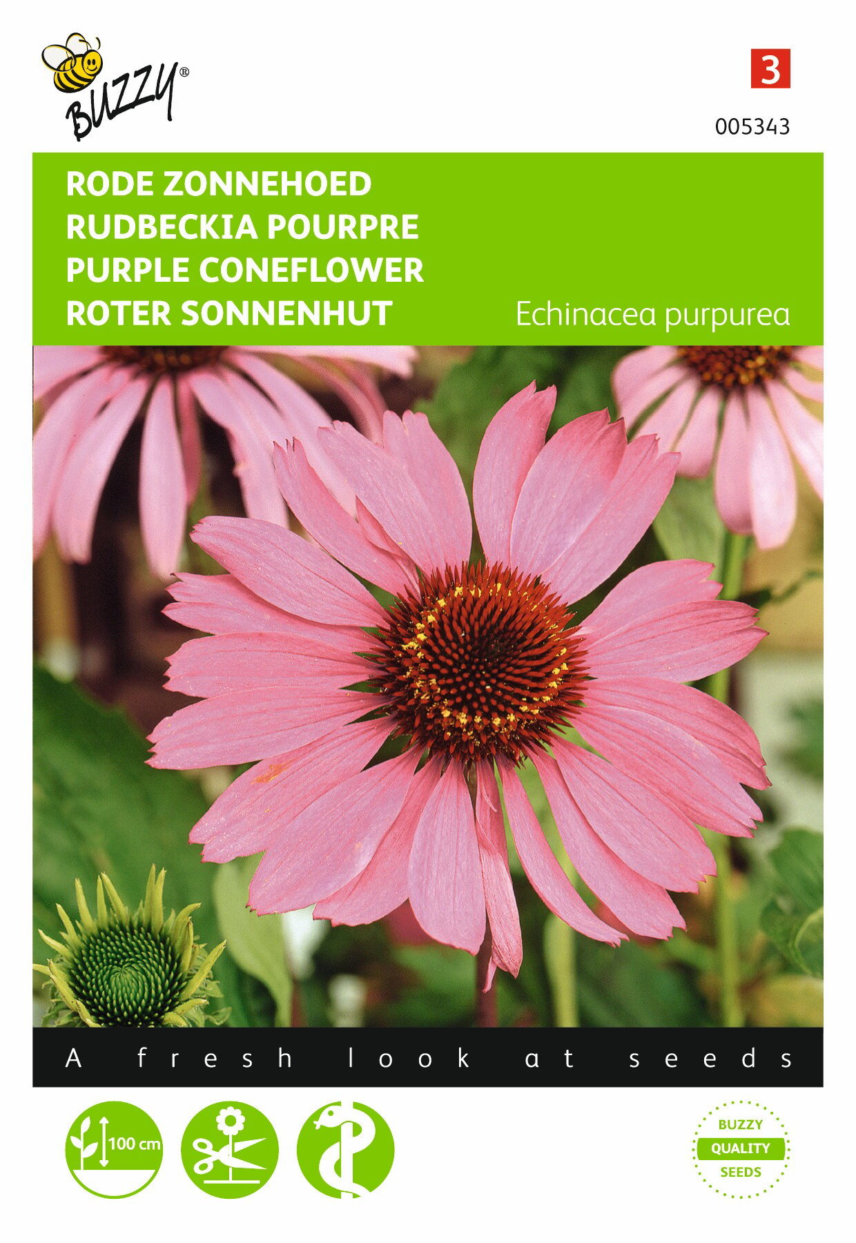 https://cdn.warentuin.nl/media/catalog/product/1/7/1778711117053439_buzzy_seeds_tuinzaden_buzzy_echinacea_rode_zonnehoed_5d8d.jpeg