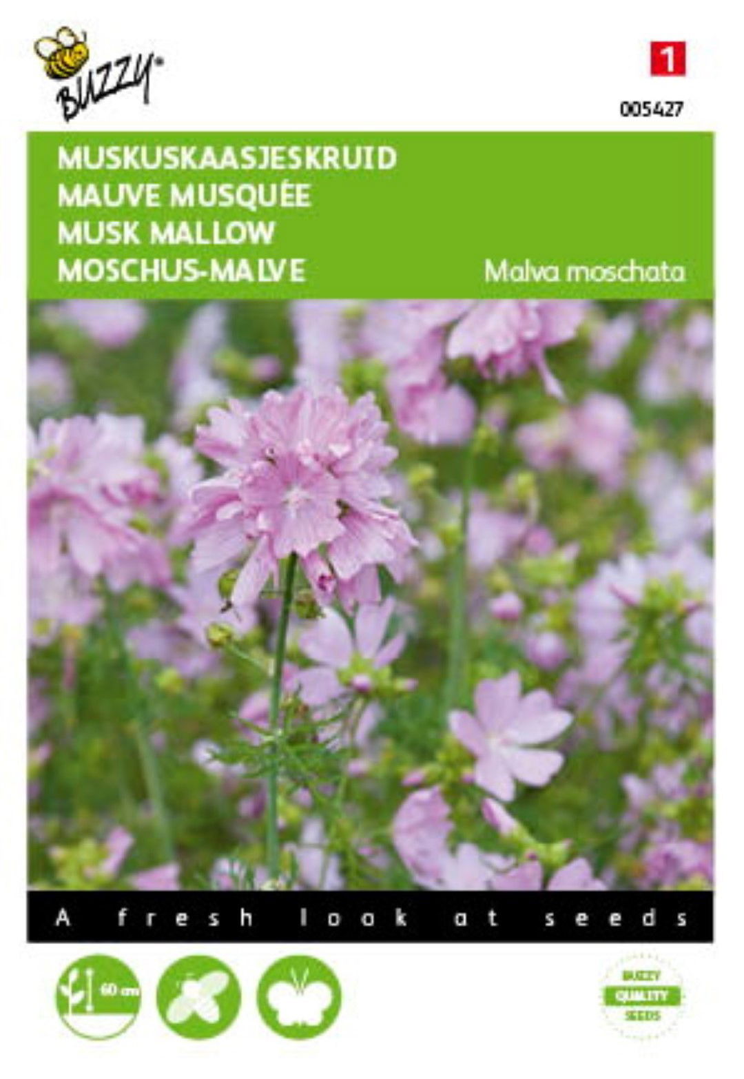 5 stuks - Malva, Muskus Kaasjeskruid roze - 5 stuks - Malva, Muskus Kaasjeskruid roze -