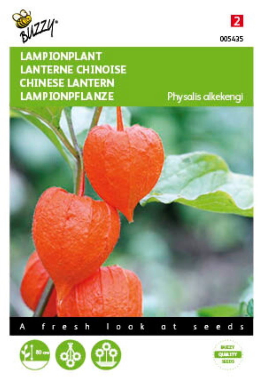 https://cdn.warentuin.nl/media/catalog/product/1/7/1778711117054351_buzzy_seeds_tuinzaden_buzzy_physalis_lampionplant_a588.jpeg
