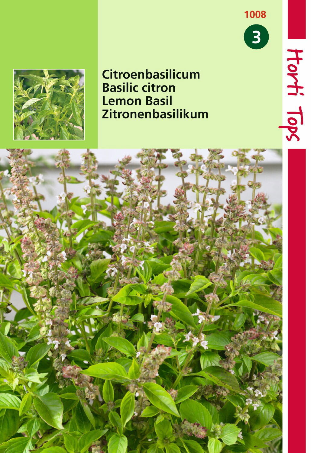 https://cdn.warentuin.nl/media/catalog/product/1/7/1778711117100805_hortitops_tuinzaden_hortitops_basilicum_citroensmaak_lemon_bas_7417.jpeg