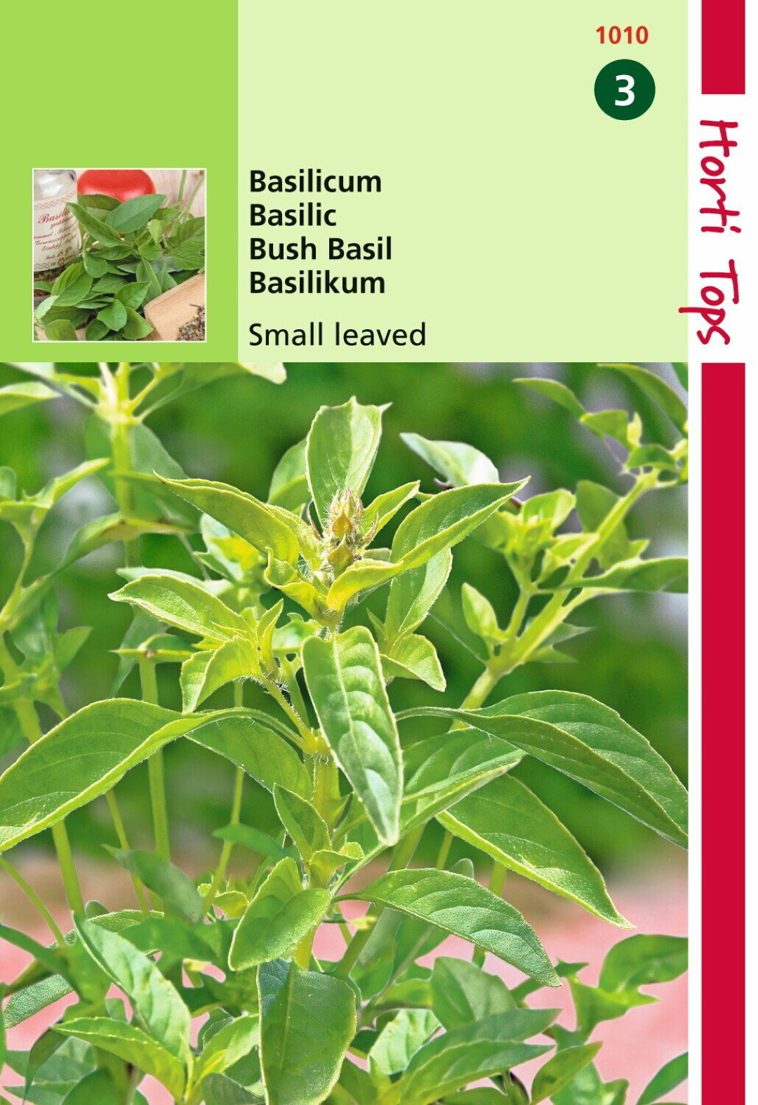 https://cdn.warentuin.nl/media/catalog/product/1/7/1778711117101000_hortitops_tuinzaden_hortitops_basilicum_fijnbladig_f6df.jpeg