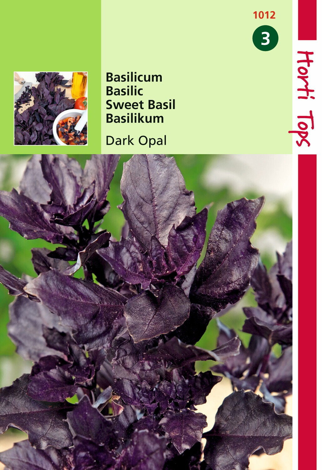 https://cdn.warentuin.nl/media/catalog/product/1/7/1778711117101208_hortitops_tuinzaden_hortitops_basilicum_rode_dark_opal_9262.jpeg
