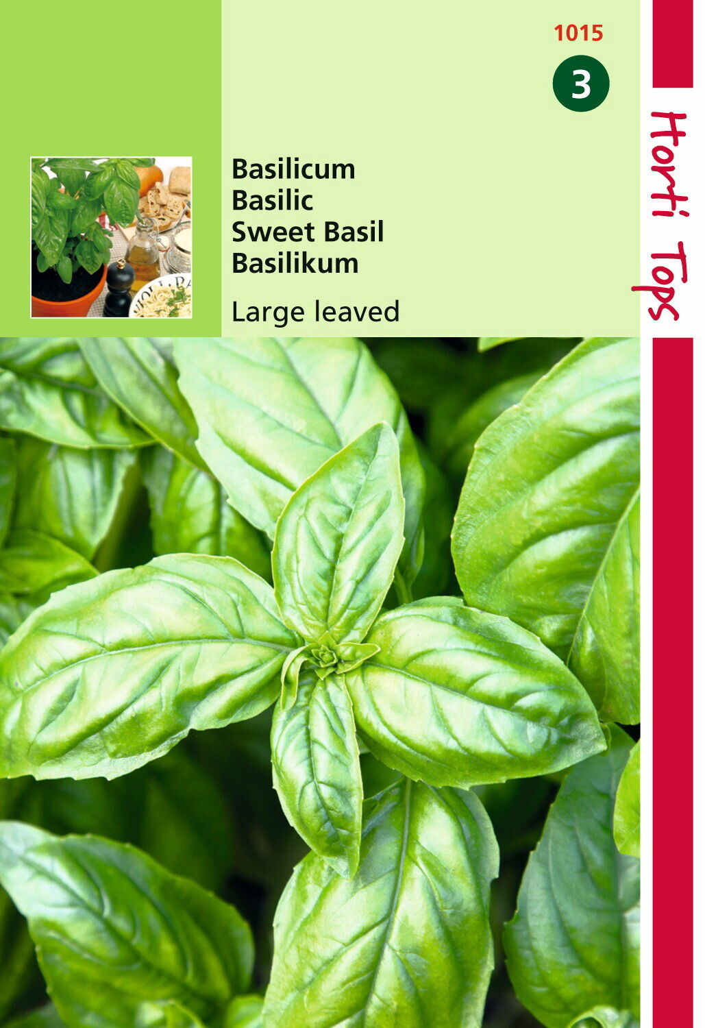 https://cdn.warentuin.nl/media/catalog/product/1/7/1778711117101505_hortitops_tuinzaden_hortitops_basilicum_grove_ae36.jpeg