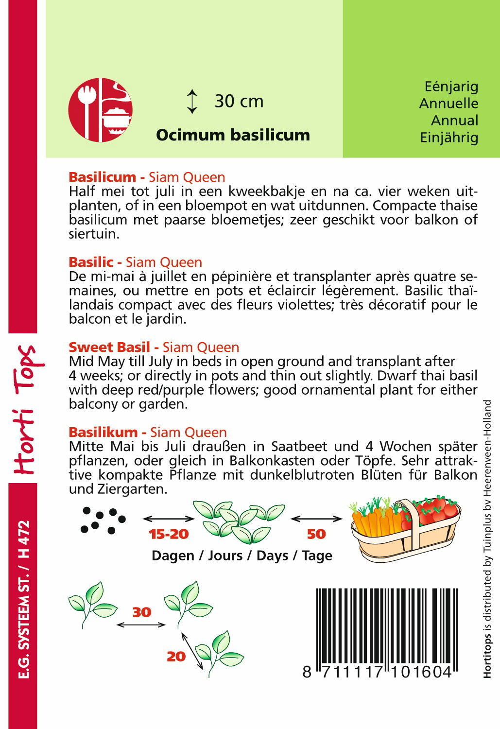 https://cdn.warentuin.nl/media/catalog/product/1/7/1778711117101604_1_hortitops_tuinzaden_hortitops_basilicum_siam_queen_0102.jpeg