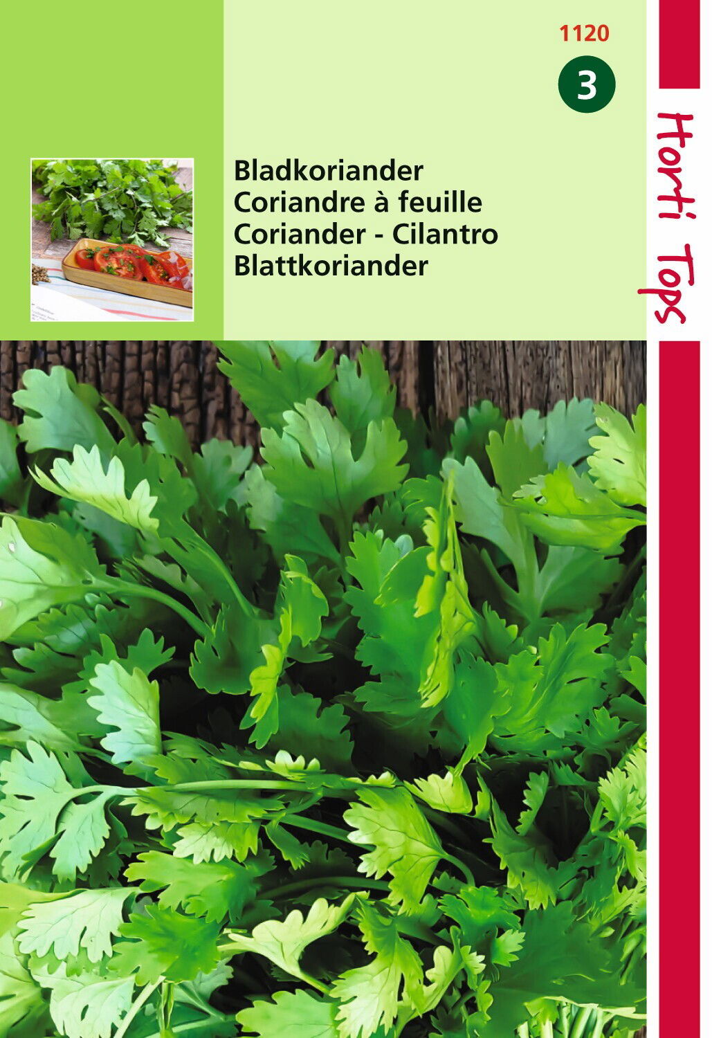 https://cdn.warentuin.nl/media/catalog/product/1/7/1778711117112006_hortitops_tuinzaden_hortitops_koriander_fijnzadig_traagschiete_0c13.jpeg