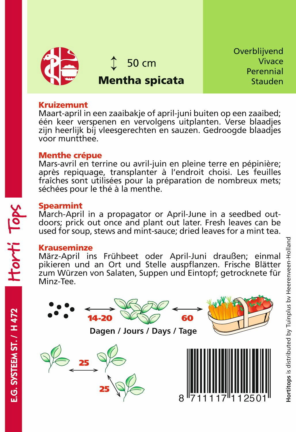 https://cdn.warentuin.nl/media/catalog/product/1/7/1778711117112501_1_hortitops_tuinzaden_hortitops_kruizemunt_a596.jpeg