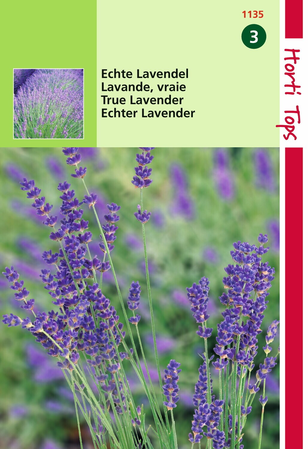 https://cdn.warentuin.nl/media/catalog/product/1/7/1778711117113508_hortitops_tuinzaden_hortitops_lavendel_lavandula_officinalis_30d9.jpeg