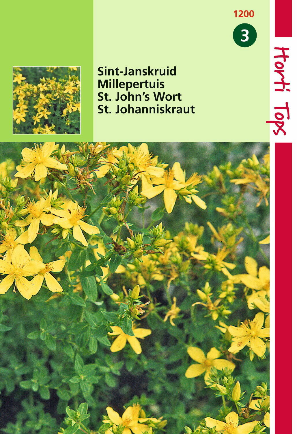 https://cdn.warentuin.nl/media/catalog/product/1/7/1778711117120001_hortitops_tuinzaden_hortitops_st_janskruid_iperico_4753.jpeg