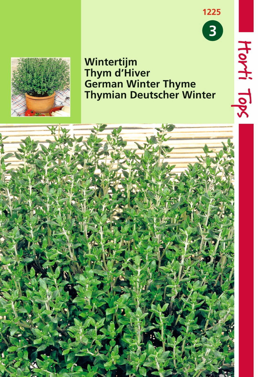 https://cdn.warentuin.nl/media/catalog/product/1/7/1778711117122500_hortitops_tuinzaden_hortitops_tijm_echte_winter_88cf.jpeg