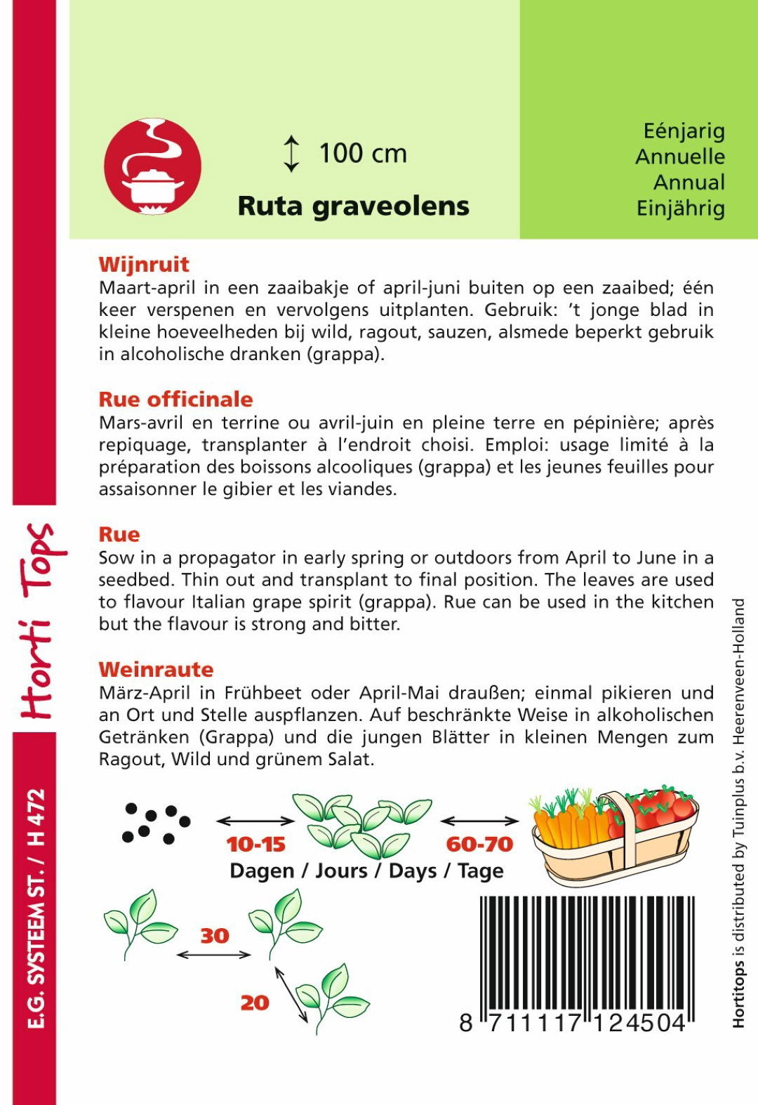 https://cdn.warentuin.nl/media/catalog/product/1/7/1778711117124504_1_hortitops_tuinzaden_hortitops_wijnruit_0cdc.jpeg