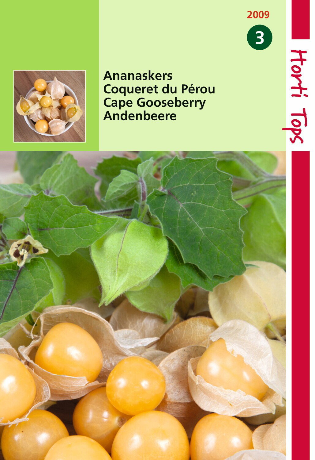 https://cdn.warentuin.nl/media/catalog/product/1/7/1778711117200901_hortitops_tuinzaden_hortitops_ananaskers_peruviana_c05e.jpeg