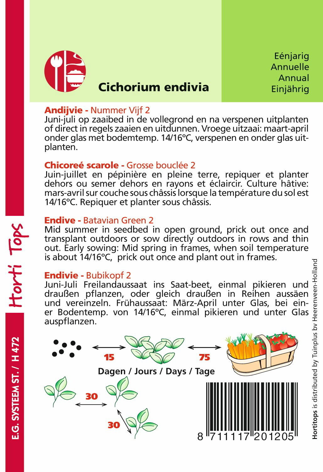 https://cdn.warentuin.nl/media/catalog/product/1/7/1778711117201205_1_hortitops_tuinzaden_hortitops_andijvie_nummer_vijf_2_ea91.jpeg
