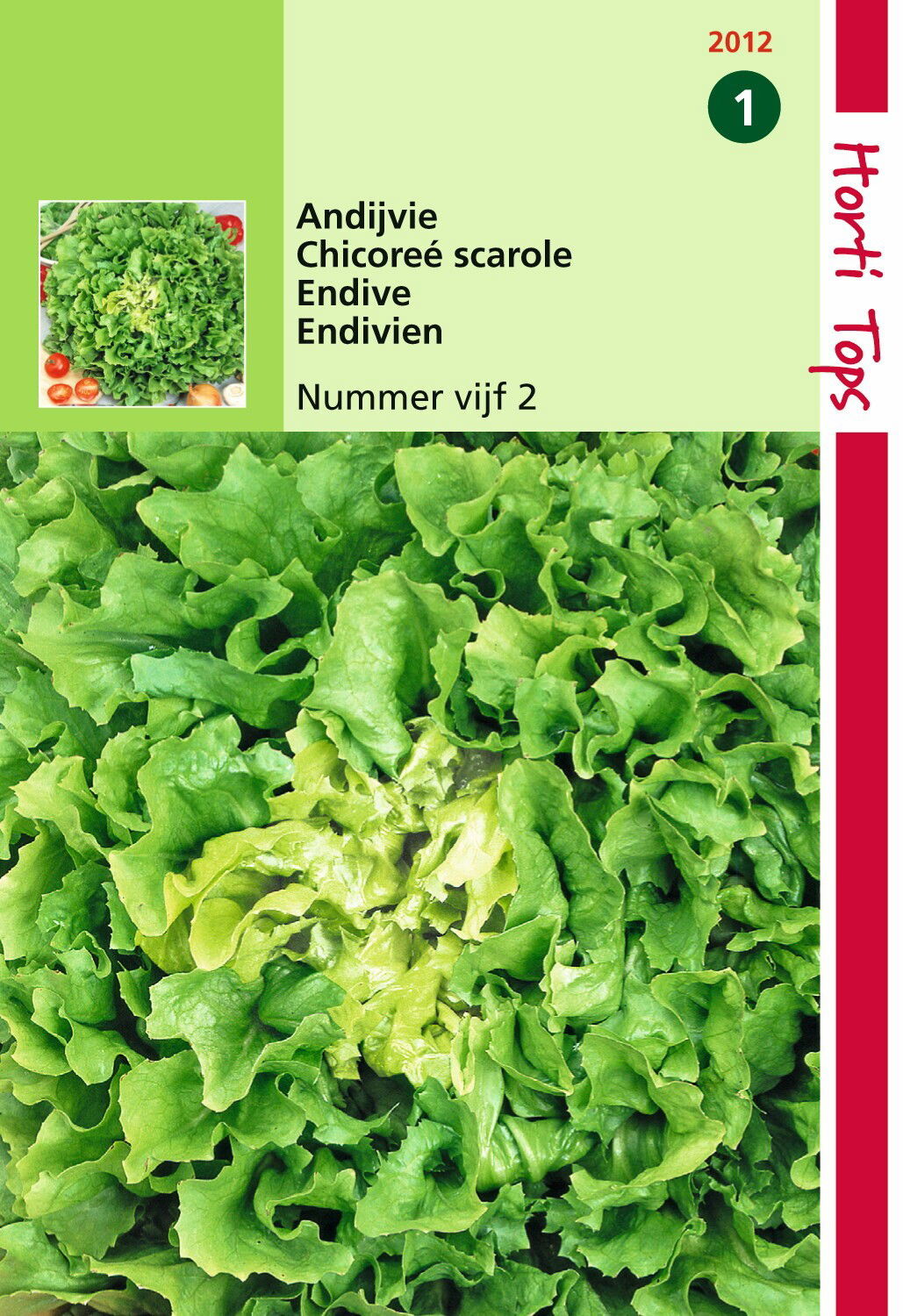 https://cdn.warentuin.nl/media/catalog/product/1/7/1778711117201205_hortitops_tuinzaden_hortitops_andijvie_nummer_vijf_2_a51c.jpeg