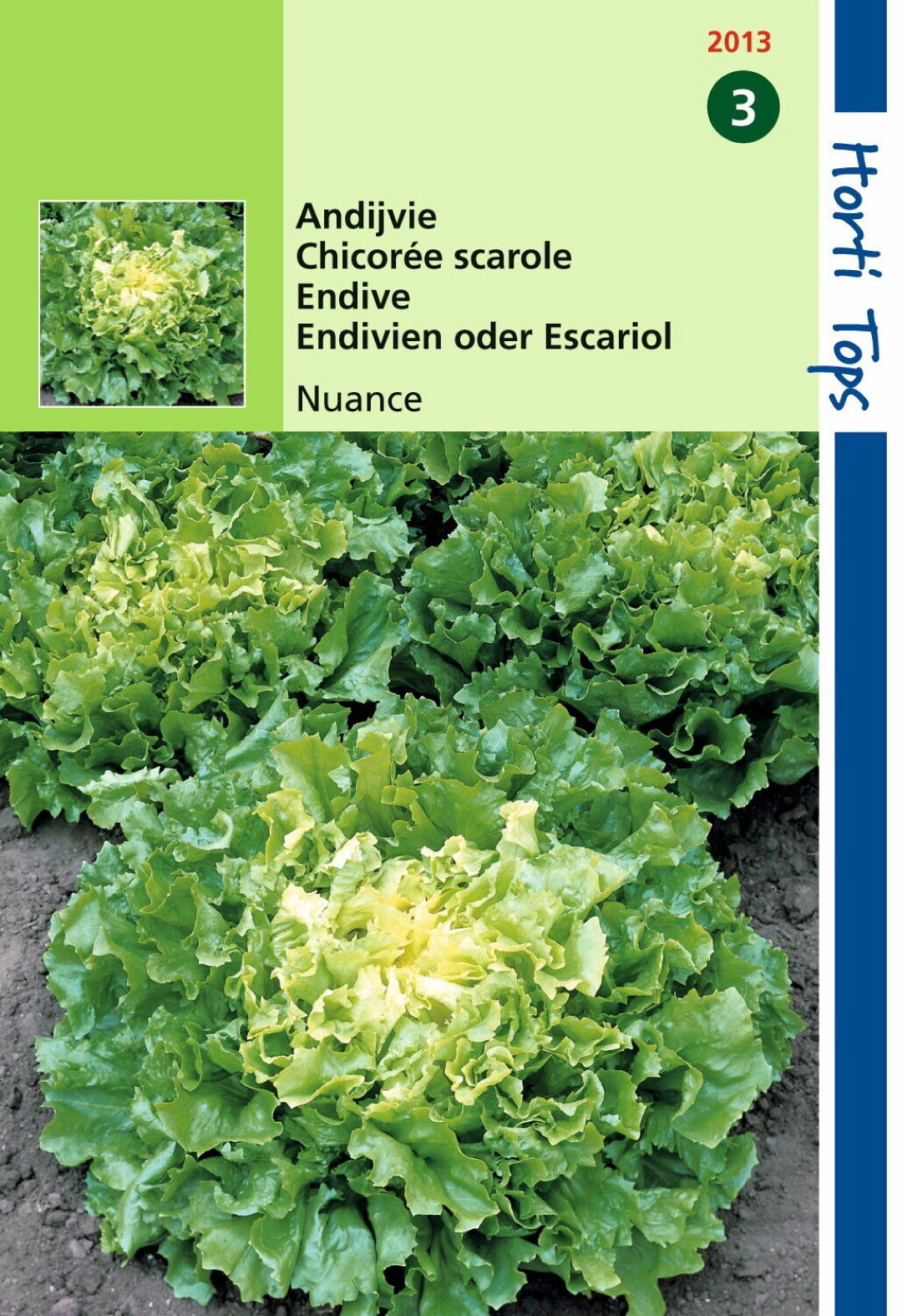 https://cdn.warentuin.nl/media/catalog/product/1/7/1778711117201304_hortitops_tuinzaden_hortitops_andijvie_nuance_1711.jpeg
