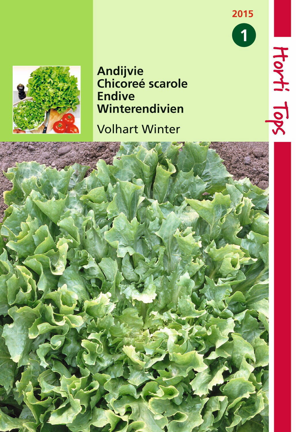 https://cdn.warentuin.nl/media/catalog/product/1/7/1778711117201502_hortitops_tuinzaden_hortitops_andijvie_breedblad_volhart_winte_5e69.jpeg