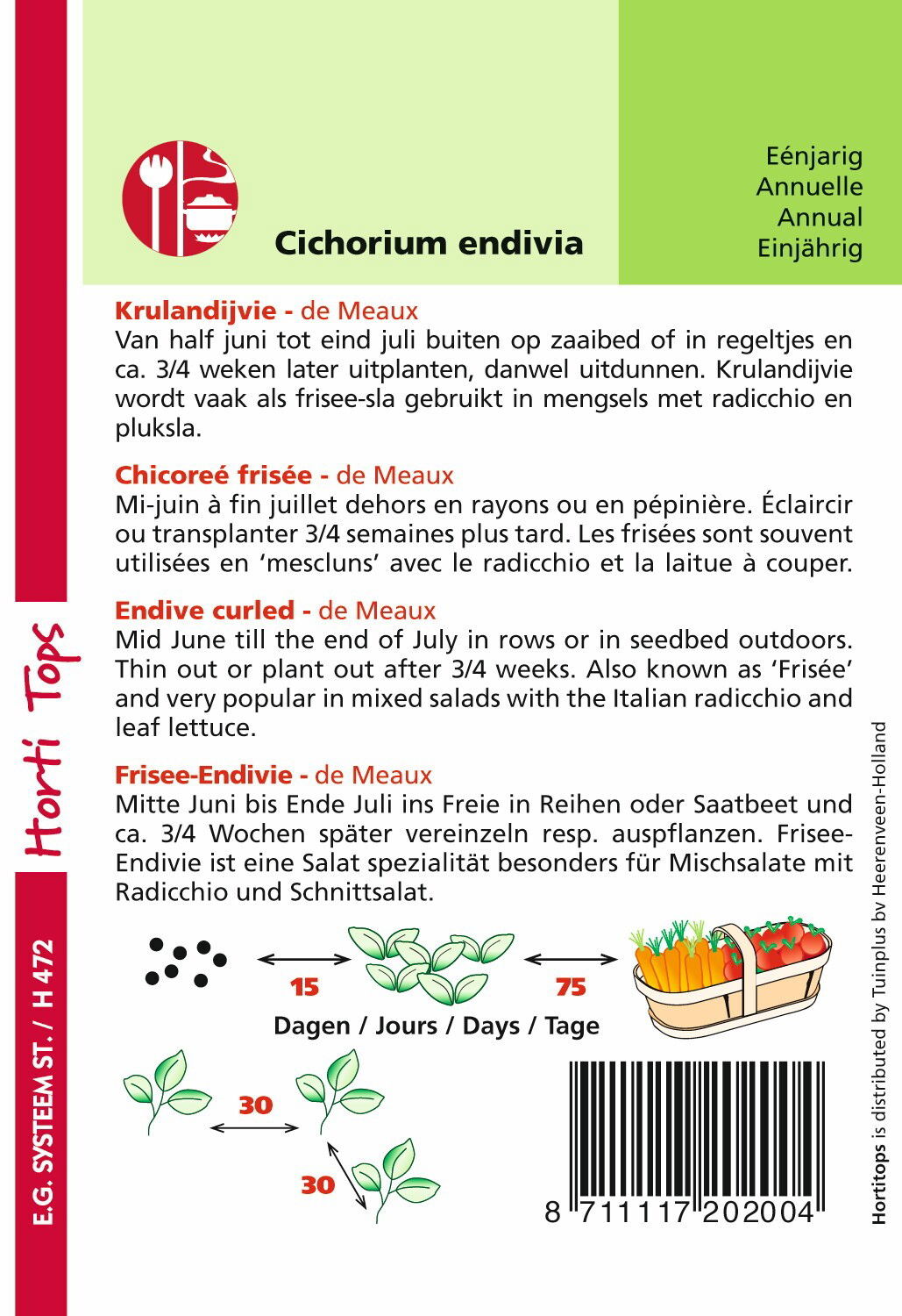 https://cdn.warentuin.nl/media/catalog/product/1/7/1778711117202004_1_hortitops_tuinzaden_hortitops_krulandijvie_de_meaux_d61e.jpeg