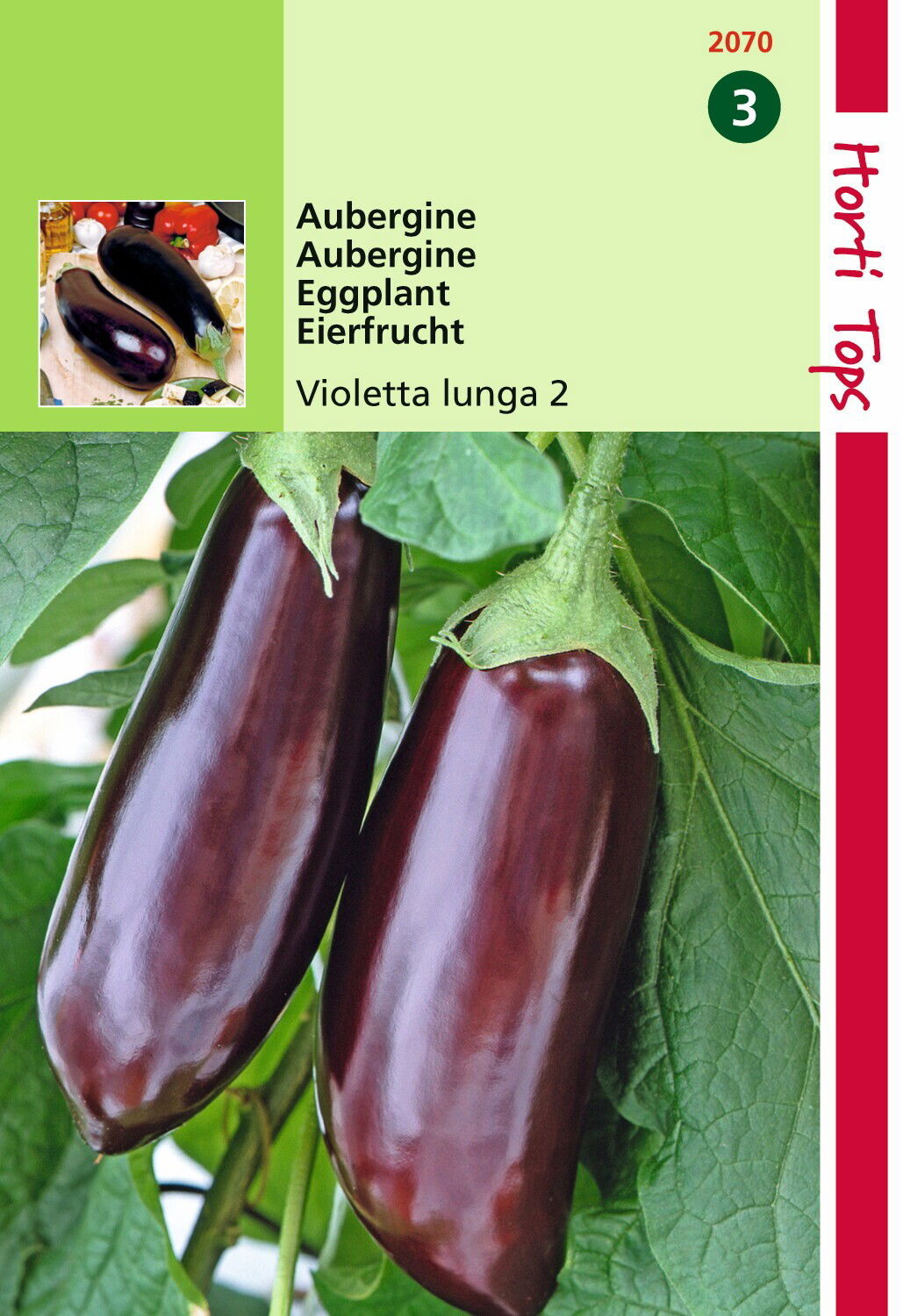 https://cdn.warentuin.nl/media/catalog/product/1/7/1778711117207009_hortitops_tuinzaden_hortitops_aubergine_violetta_lunga_2_3a2e.jpeg