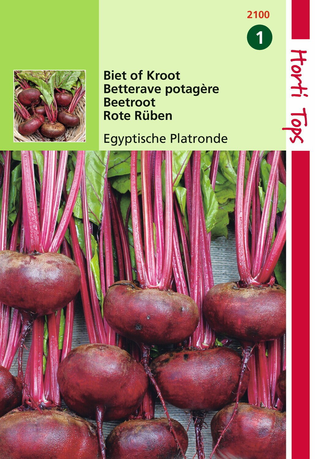 https://cdn.warentuin.nl/media/catalog/product/1/7/1778711117210009_hortitops_tuinzaden_hortitops_bieten_egyptische_platronde_acd4.jpeg