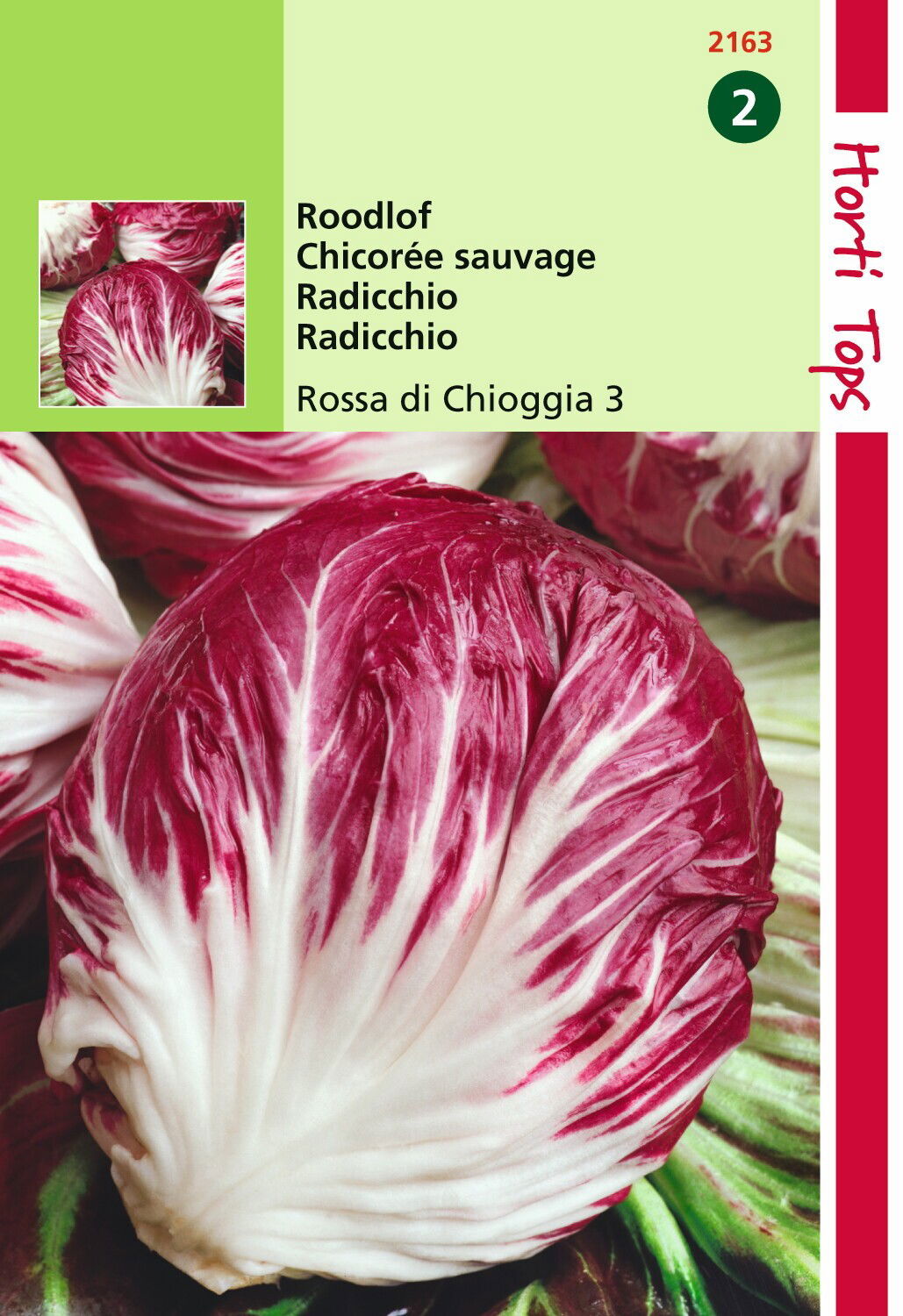 Hortitops Radicchio Rosso Di Chioggia Palla Rossa 4 - 