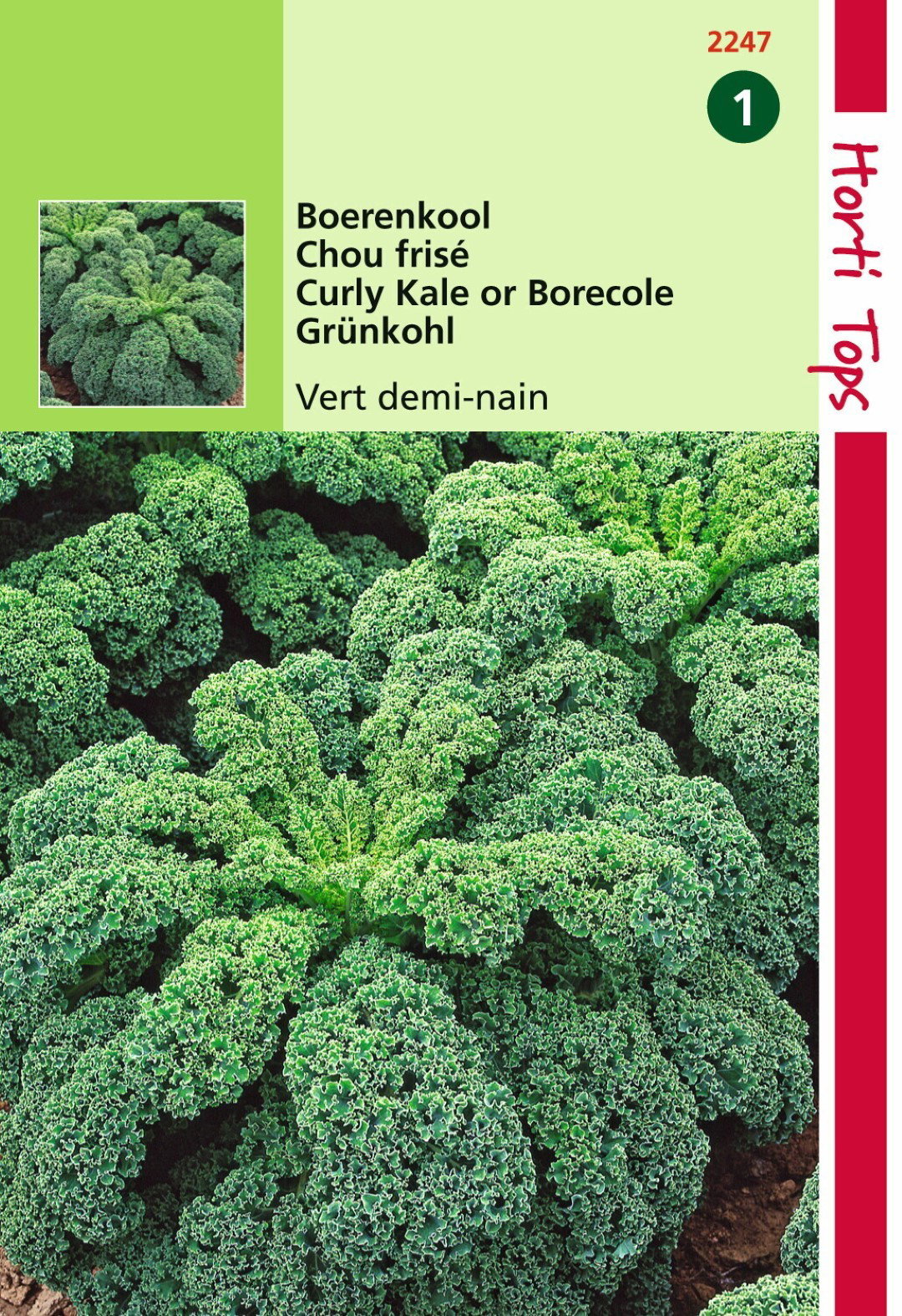 https://cdn.warentuin.nl/media/catalog/product/1/7/1778711117224709_hortitops_tuinzaden_hortitops_boerenkool_middelhoge_fijne_krul_39eb.jpeg