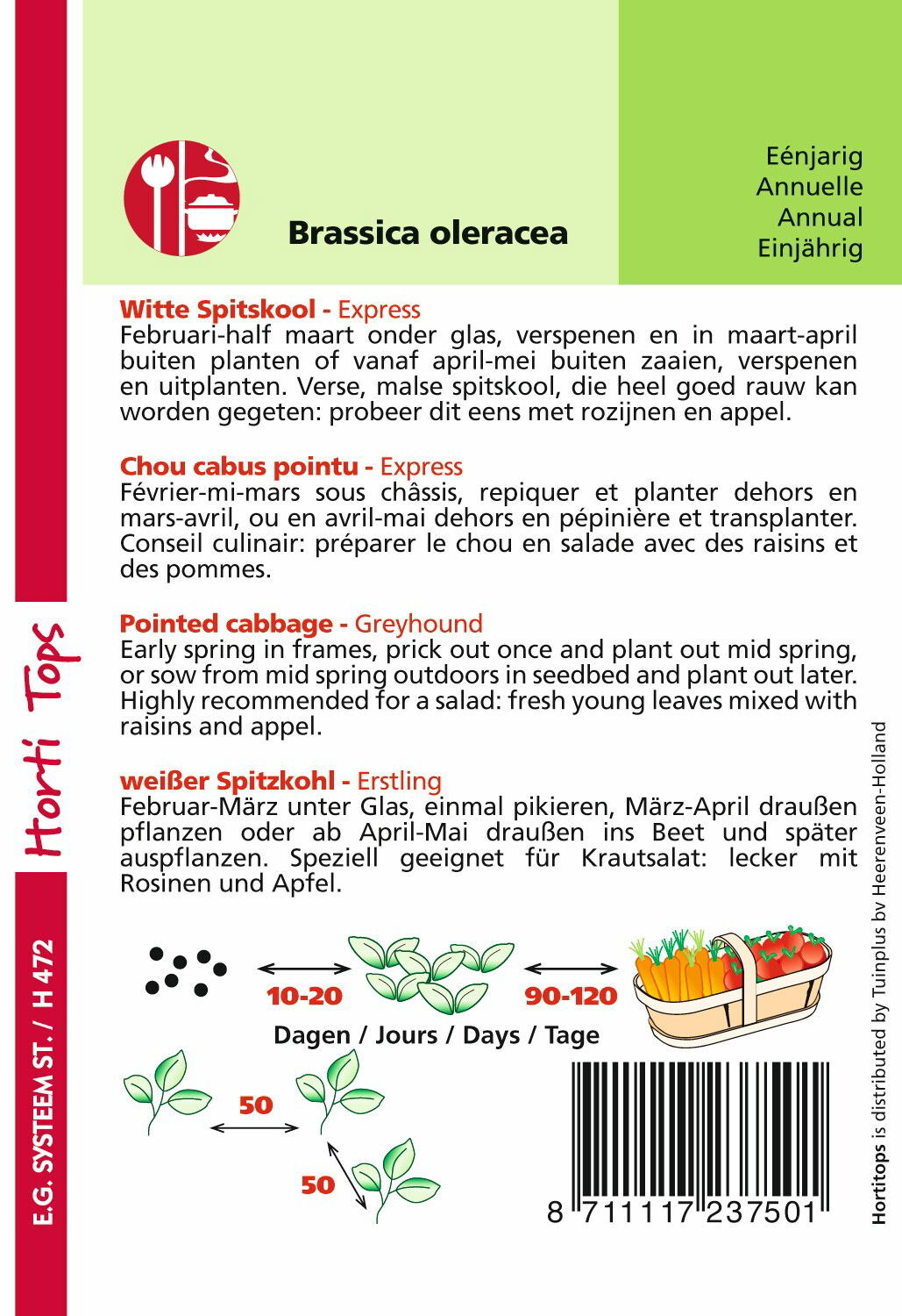 https://cdn.warentuin.nl/media/catalog/product/1/7/1778711117237501_1_hortitops_tuinzaden_hortitops_wittekool_express_vroege_spits_1305.jpeg