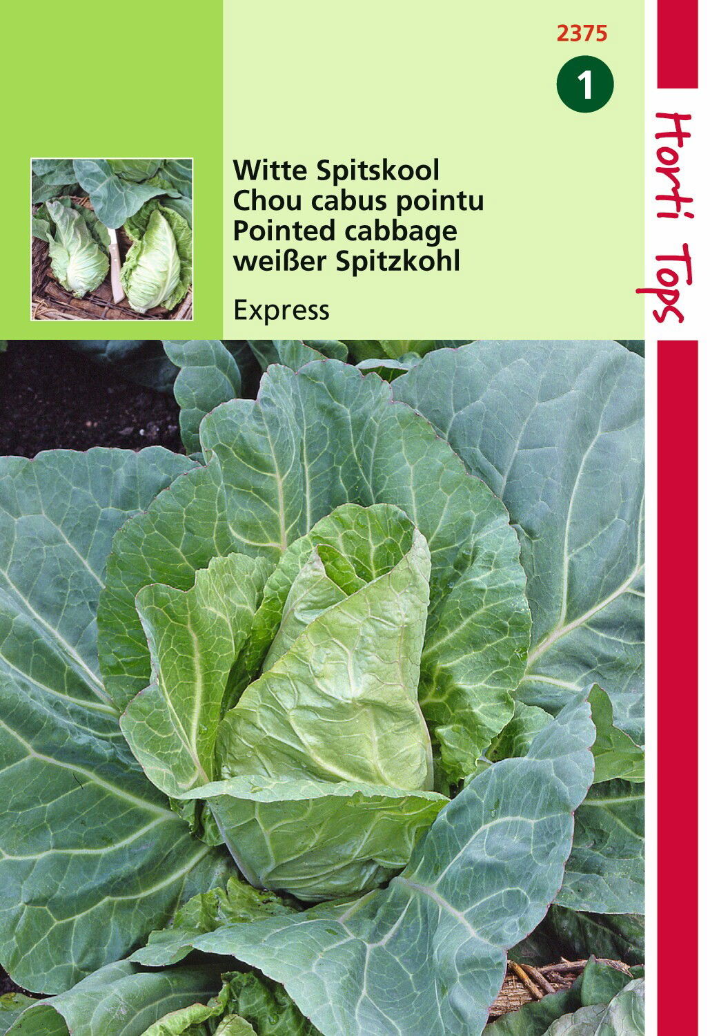 https://cdn.warentuin.nl/media/catalog/product/1/7/1778711117237501_hortitops_tuinzaden_hortitops_wittekool_express_vroege_spitse_94c4.jpeg
