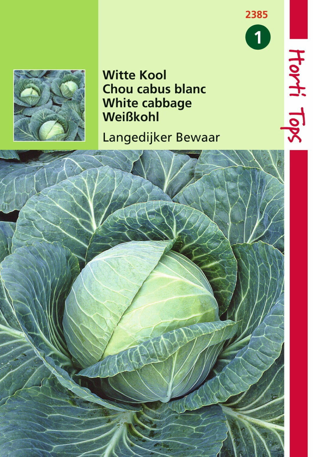 https://cdn.warentuin.nl/media/catalog/product/1/7/1778711117238508_hortitops_tuinzaden_hortitops_wittekool_langedijker_bewaar_7aaf.jpeg