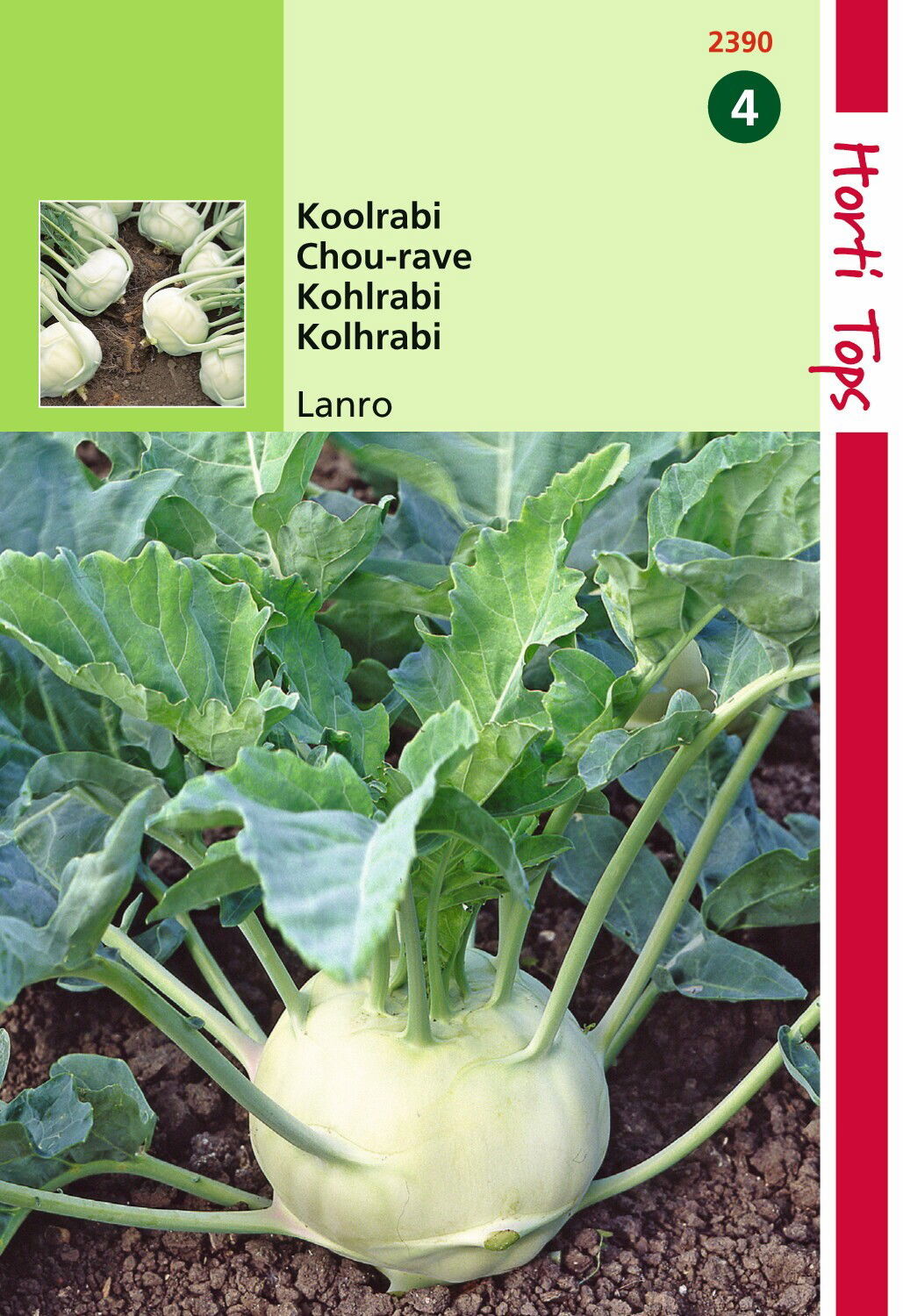 Hortitops Koolrabi Lanro - 