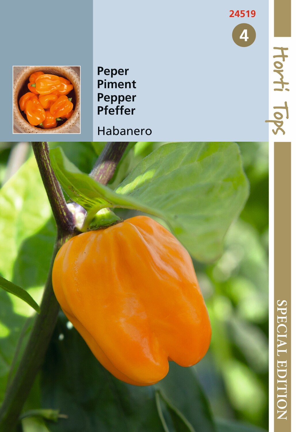 https://cdn.warentuin.nl/media/catalog/product/1/7/1778711117245193_hortitops_tuinzaden_hortitops_peper_habanero_oranje_7f66.jpeg