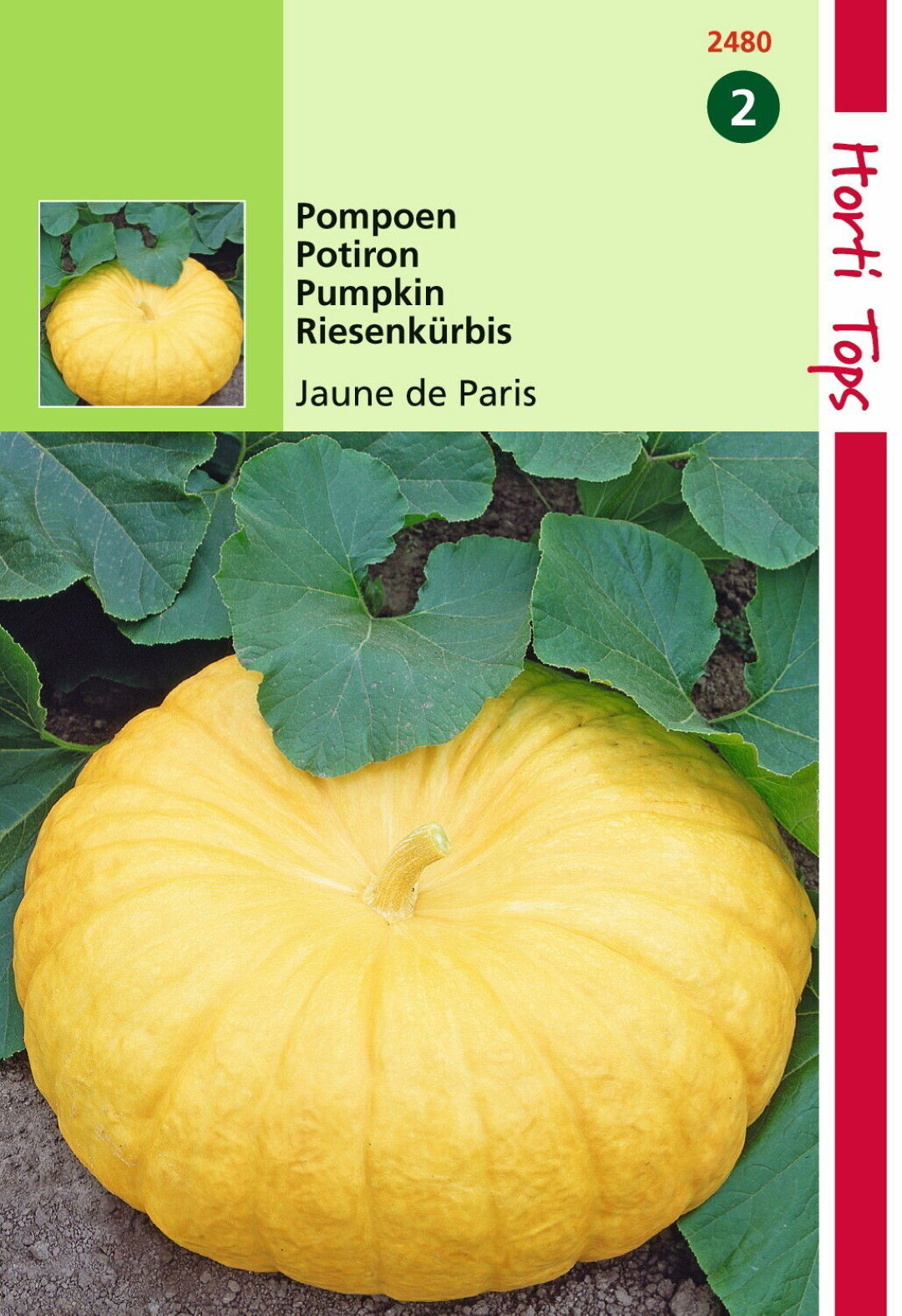 https://cdn.warentuin.nl/media/catalog/product/1/7/1778711117248002_hortitops_tuinzaden_hortitops_pompoenen_jaune_de_paris_centena_521c.jpeg