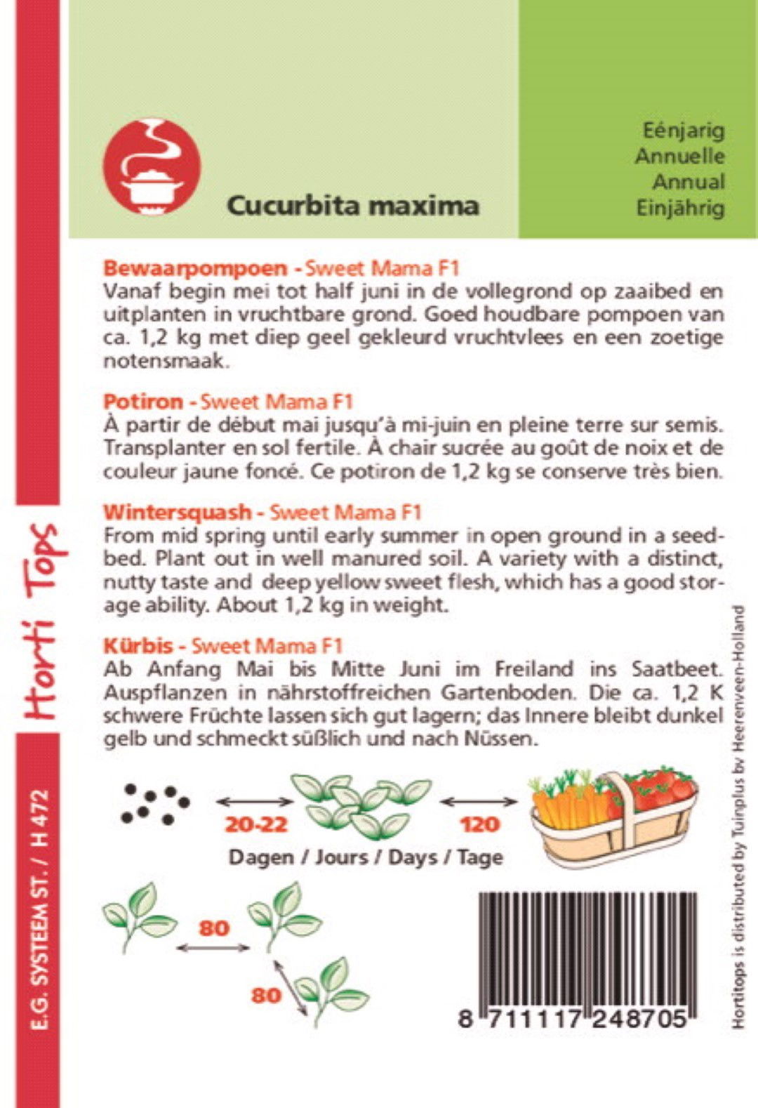 https://cdn.warentuin.nl/media/catalog/product/1/7/1778711117248705_1_hortitops_tuinzaden_hortitops_pompoenen_nutty_delica_f1_d3be.jpeg