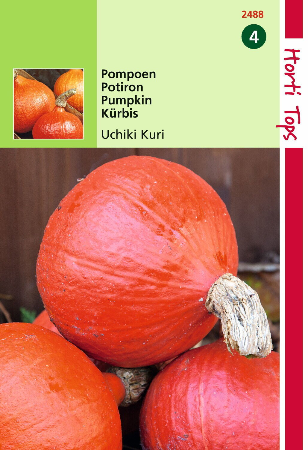https://cdn.warentuin.nl/media/catalog/product/1/7/1778711117248804_hortitops_tuinzaden_hortitops_pompoenen_oranje_zon_4a52.jpeg