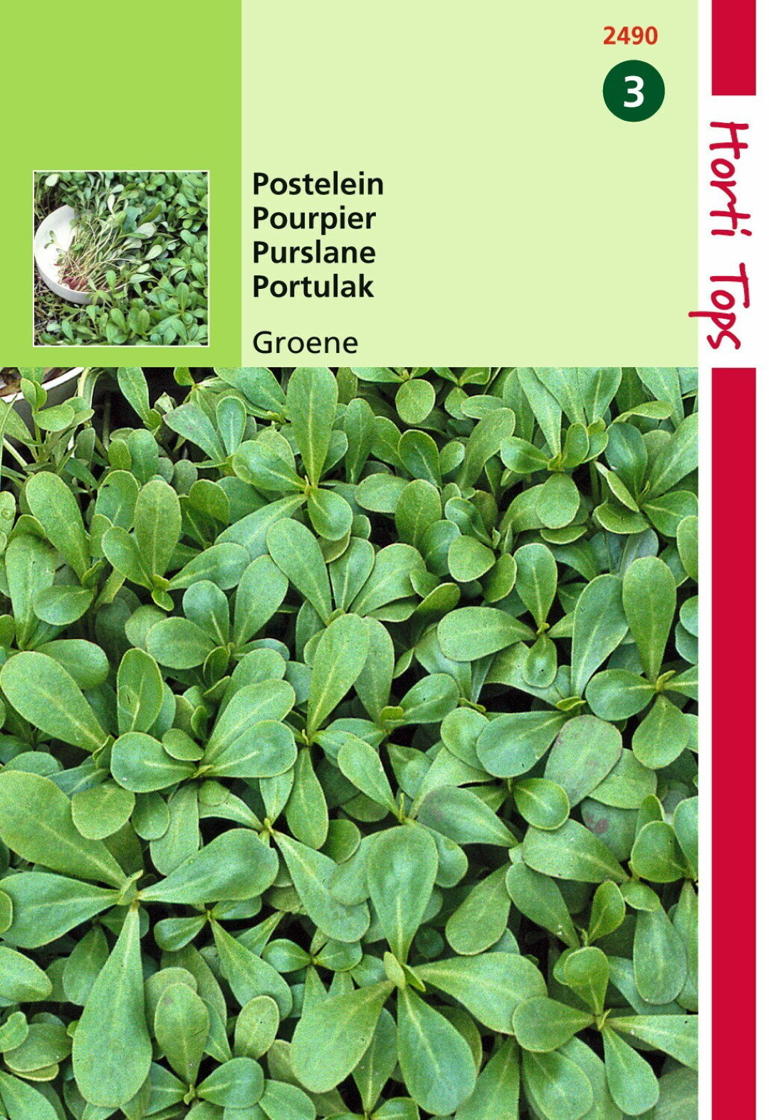 Zaden Postelein Groene Hortitops - Hortitops