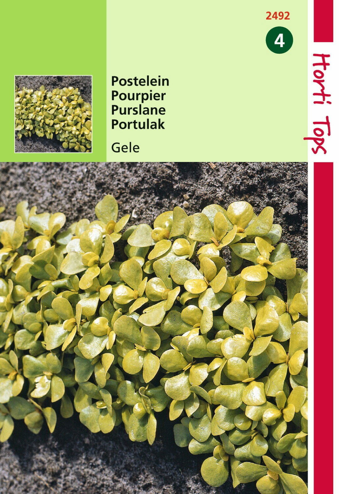 https://cdn.warentuin.nl/media/catalog/product/1/7/1778711117249207_hortitops_tuinzaden_hortitops_postelein_breedbladige_gele_42d1.jpeg