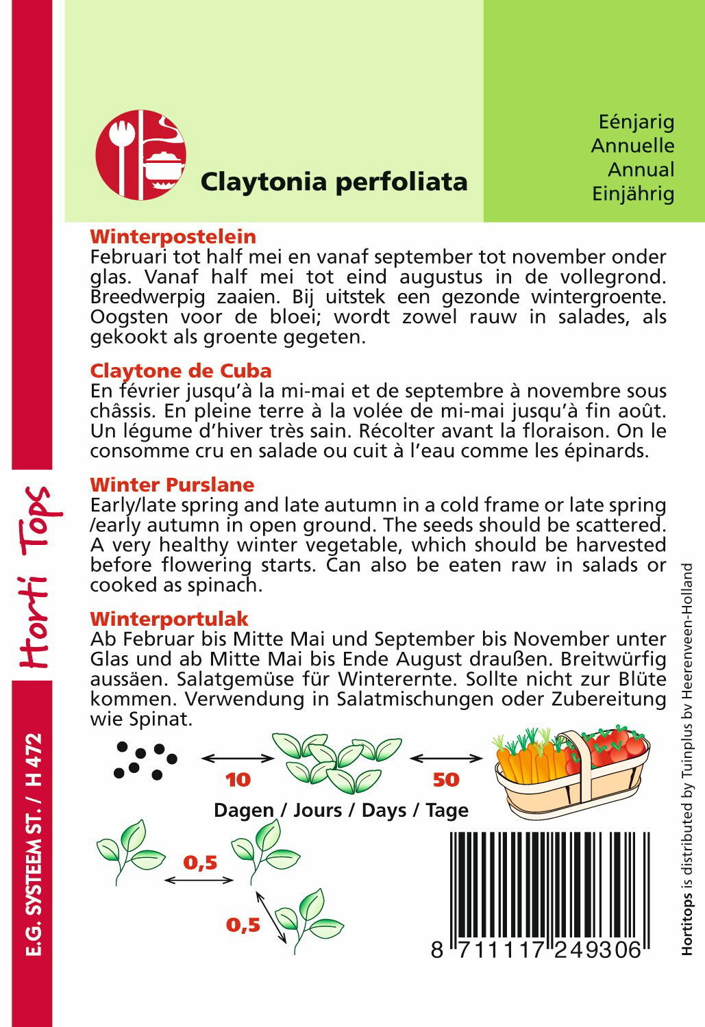 https://cdn.warentuin.nl/media/catalog/product/1/7/1778711117249306_1_hortitops_tuinzaden_hortitops_winter_postelein_0d63.jpeg