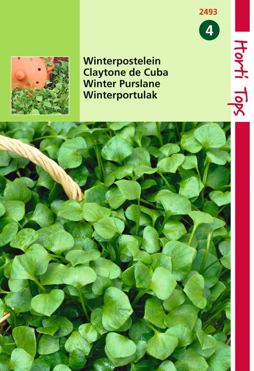https://cdn.warentuin.nl/media/catalog/product/1/7/1778711117249306_hortitops_tuinzaden_hortitops_winter_postelein_5197.jpeg
