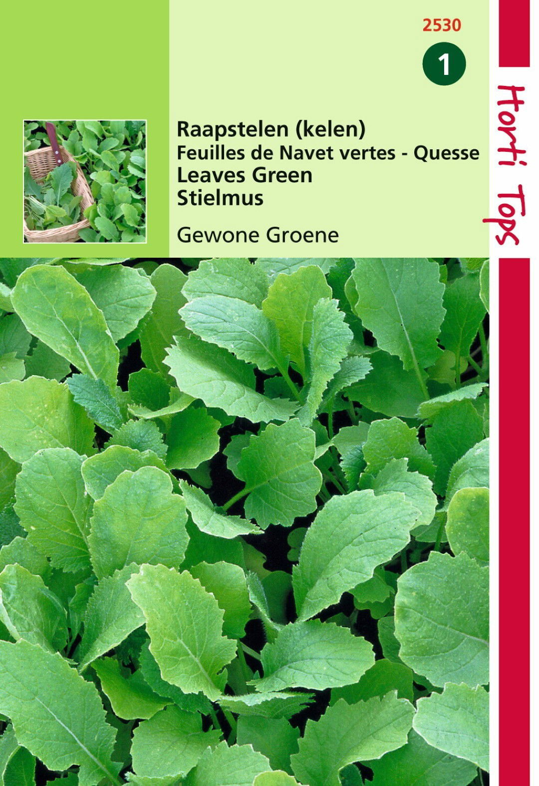 https://cdn.warentuin.nl/media/catalog/product/1/7/1778711117253006_hortitops_tuinzaden_hortitops_raapstelen_groene_0351.jpeg