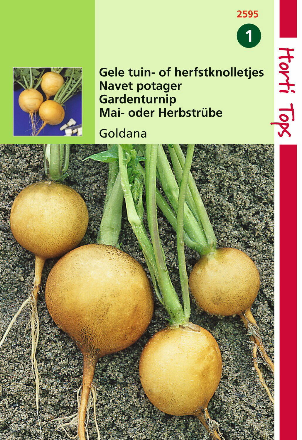 Hortitops Rapen Goldana Goudbal Kortlof - 