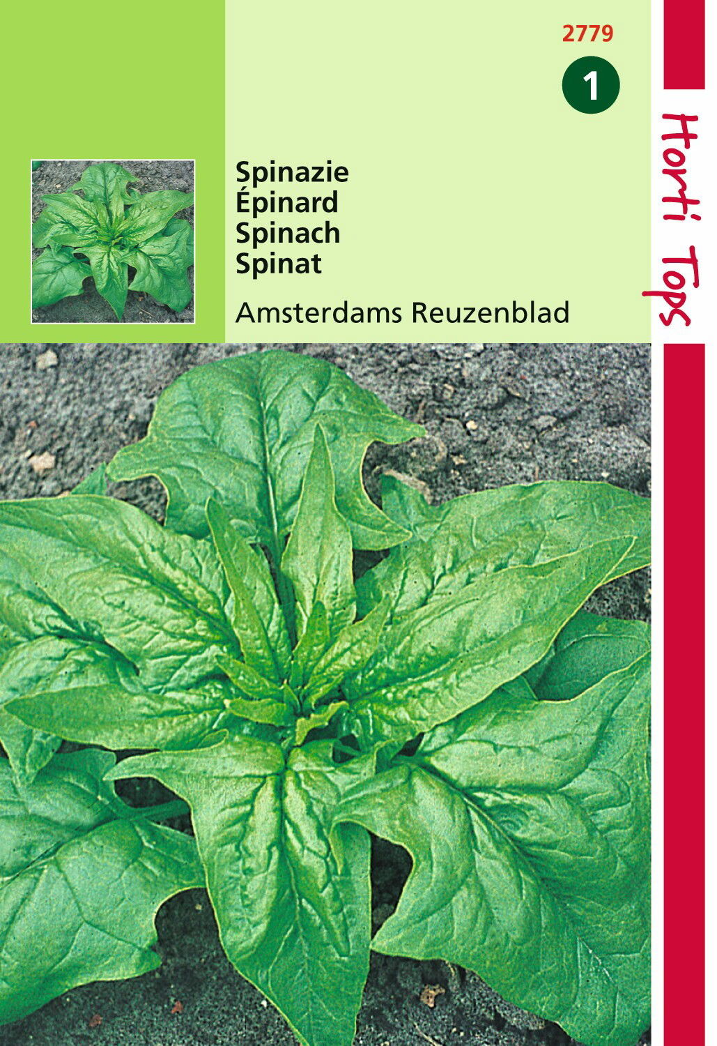 https://cdn.warentuin.nl/media/catalog/product/1/7/1778711117277903_hortitops_tuinzaden_hortitops_spinazie_amsterdams_scherp_zaad__b972.jpeg